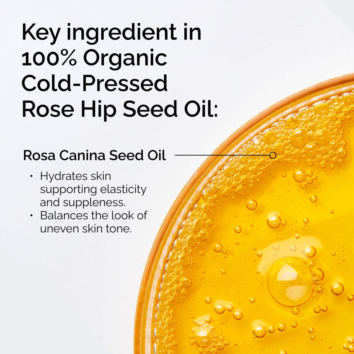 100-organic-cold-pressed-rose-hip-seed-oil-g4 FY25-D41247-ORD-Web-PDP-100-Rose-Hip-Oil-1x1-EN-2.jpg