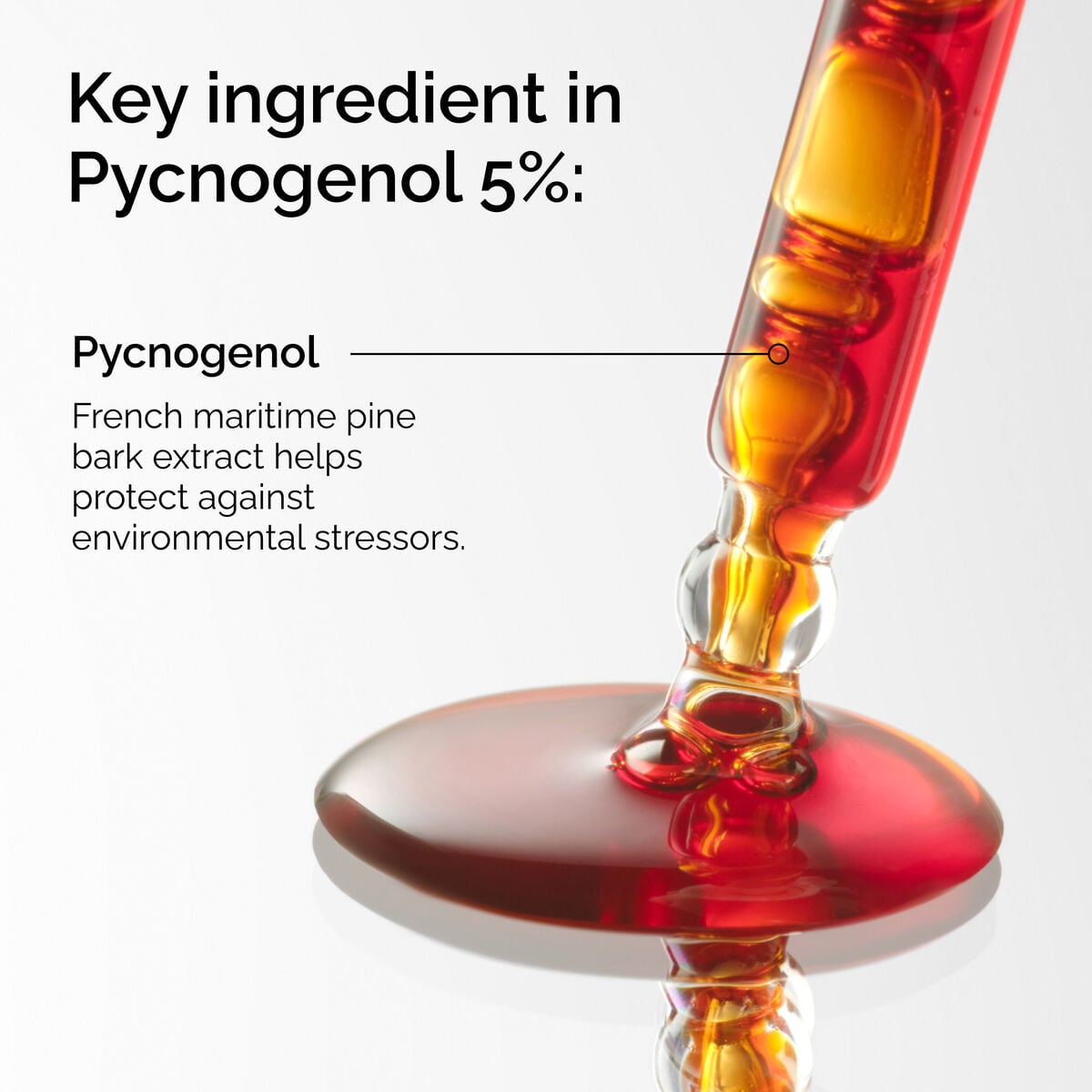 pycnogenol-5-h4 FY25-D41247-ORD-Web-PDP-Pyc-5pct-1x1-EN-2a.jpg