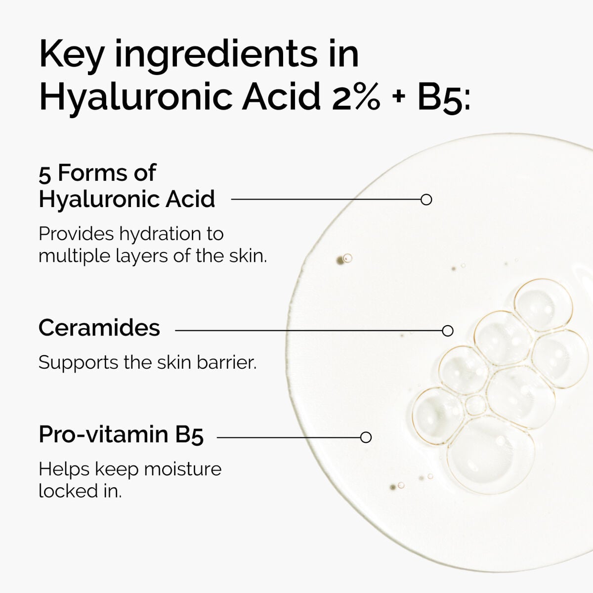 hyaluronic-acid-2-b5-with-ceramides-o8 ord-hyaluronic-acid-2pct-b5-hydrating-serum-ingredients-graphic.jpg