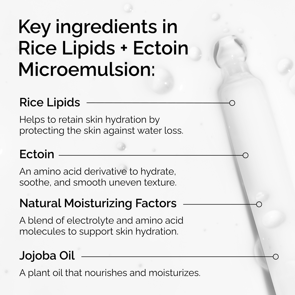 rice-lipids-ectoin-microemulsion-g1 ord-rice-lipids-ectoin-microemulsion-key-ingredients.png